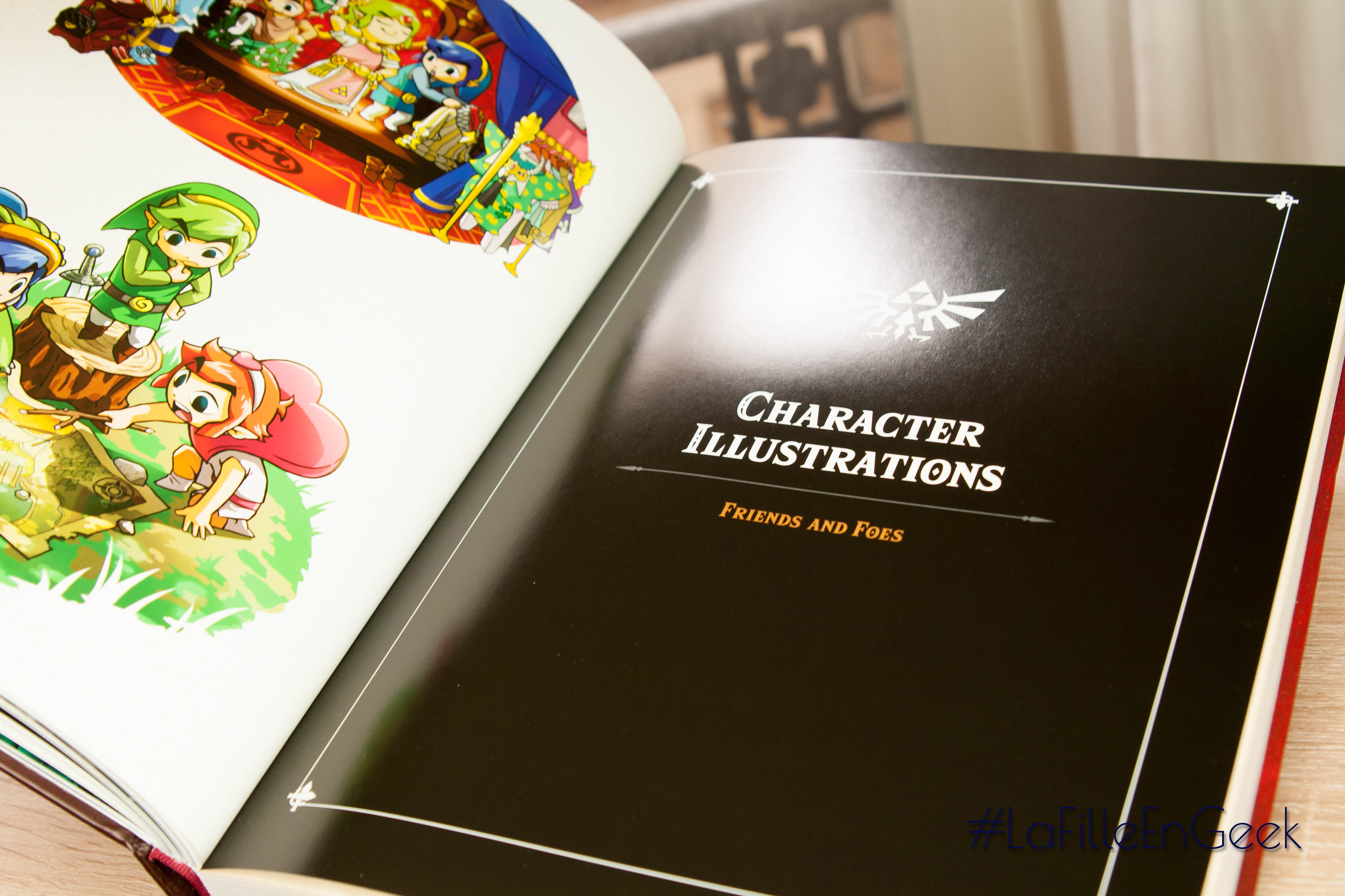 Livre Zelda Arts & Artifacts Fille Geek