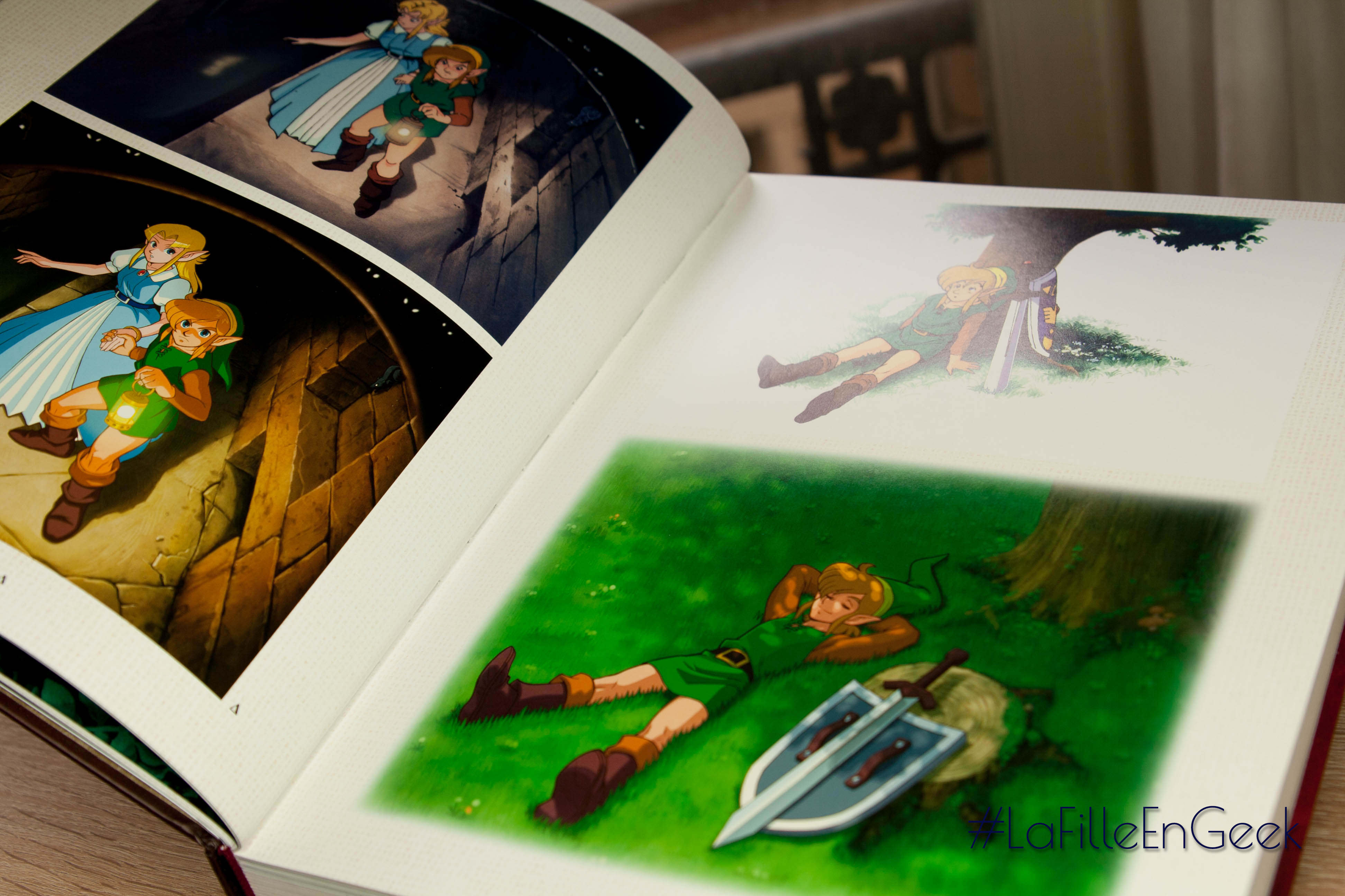 Livre Zelda Arts & Artifacts Fille Geek