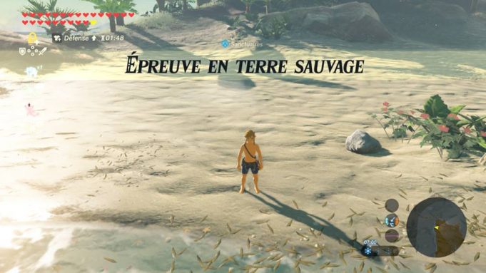 Ou Trouver Des Perches Max Zelda Guide de l'Île Finalis Zelda Breath of the Wild - La Fille En Geek